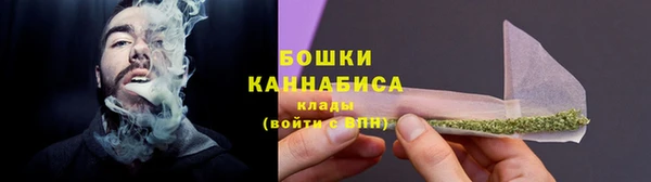 2c-b Пересвет