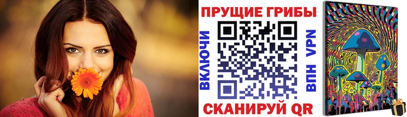 Псилоцибиновые грибы GOLDEN TEACHER  купить  цена  Пудож 