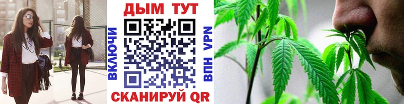 Канабис гибрид  Пудож 